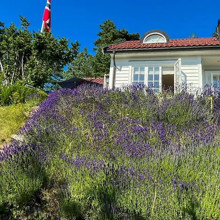 Pa Stranden, Stor Hage Og Egen Brygge *