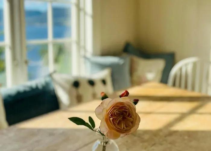 Pa Stranden, Stor Hage Og Egen Brygge Bogen (Akershus)